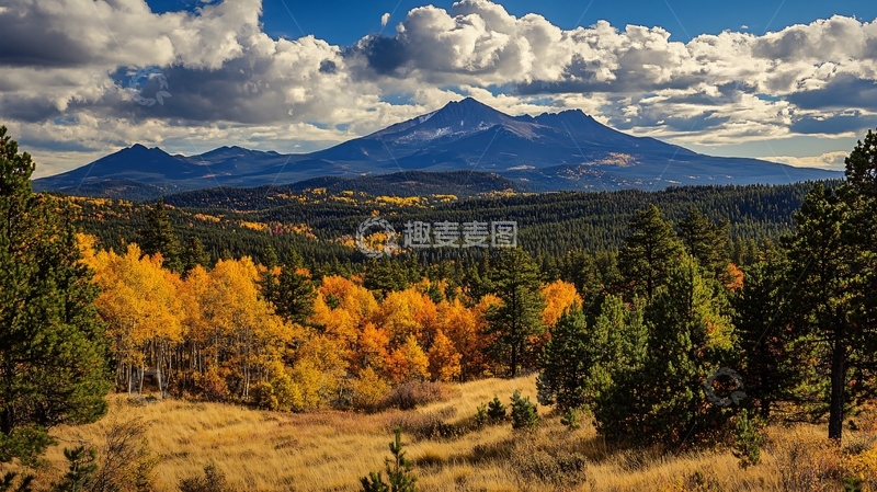高清大图下载【趣麦麦图】火山熔岩秋季森林