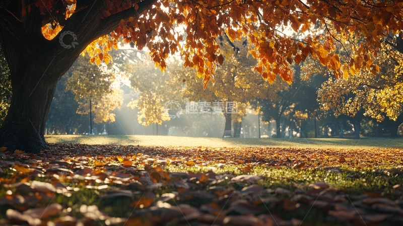 高清大图下载【趣麦麦图】大树下秋色秋景