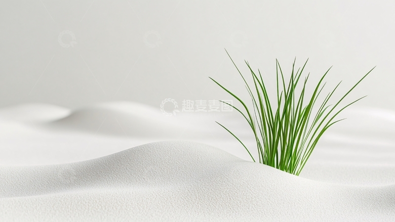 高清大图下载【趣麦麦图】大漠绿草