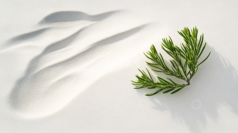 高清大图下载【趣麦麦图】极简禅境松叶