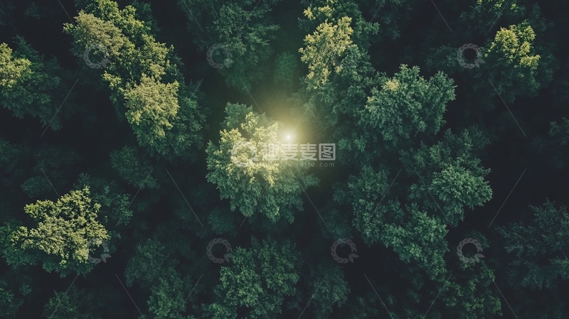 高清大图下载【趣麦麦图】森林俯拍全景图