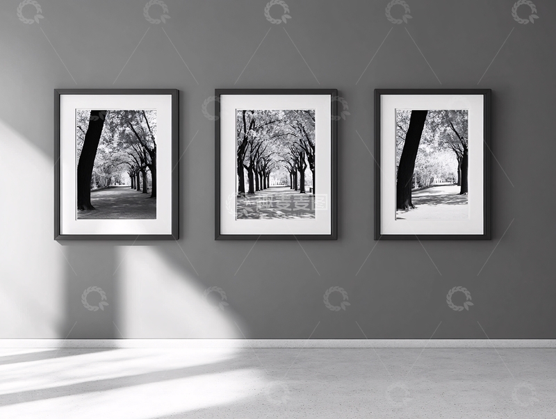 高清大图下载【趣麦麦图】高清黑白风光挂画