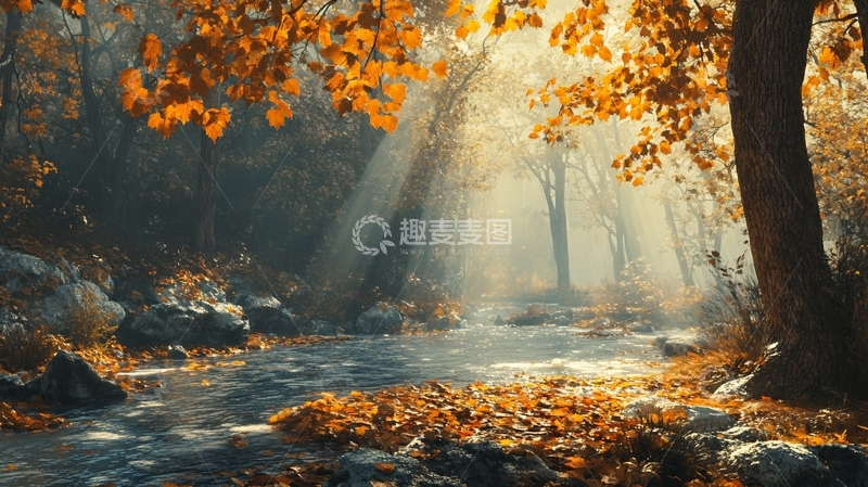 高清大图下载【趣麦麦图】秋天唯美溪水
