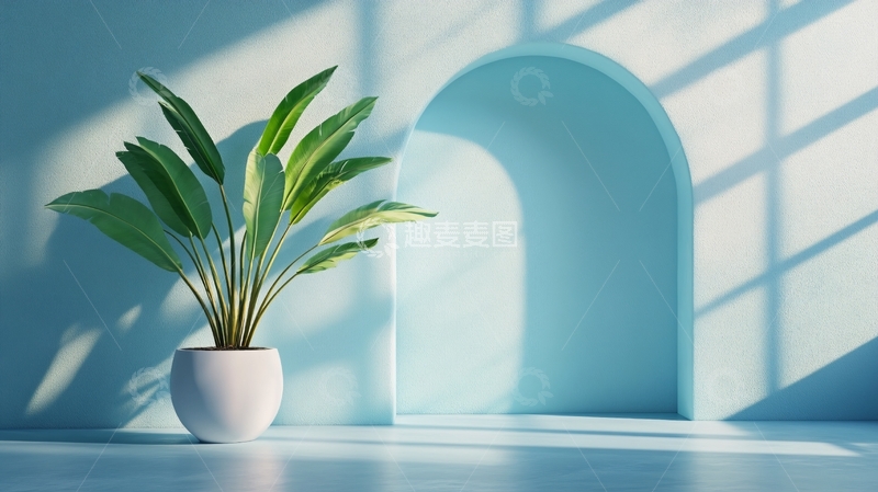 高清大图下载【趣麦麦图】蓝色的房间里的植物3