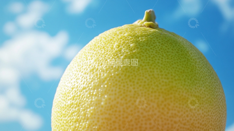 高清大图下载【趣麦麦图】哈蜜瓜壁纸1