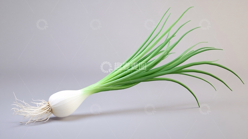 高清大图下载【趣麦麦图】-蒜苗设计素材1