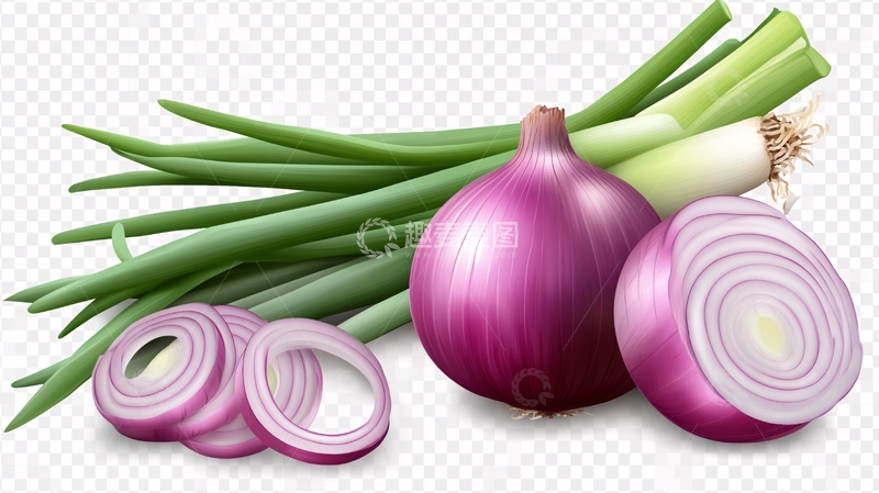高清大图下载【趣麦麦图】洋葱素材下载1