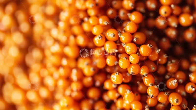 高清大图下载【趣麦麦图】蟹黄小豆