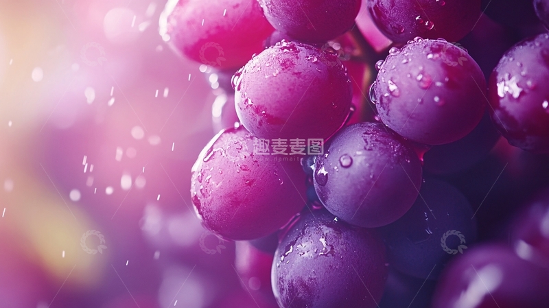 高清大图下载【趣麦麦图】高清唯美葡萄特写红提2
