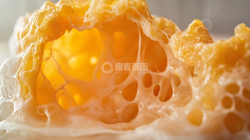 高清大图下载【趣麦麦图】马蜂窝特写