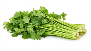 芹菜素材下载
