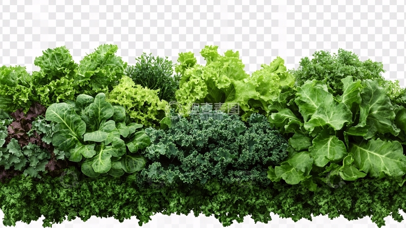 高清大图下载【趣麦麦图】高清蔬菜青菜7