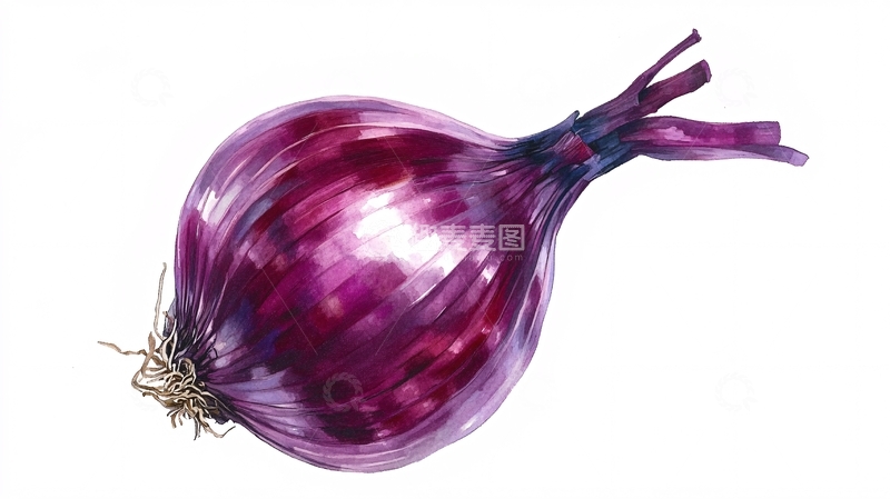 高清大图下载【趣麦麦图】红洋葱插图