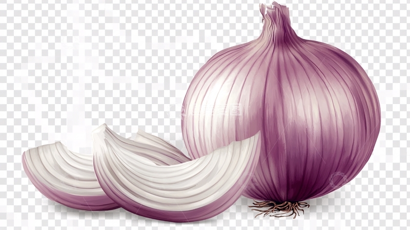 高清大图下载【趣麦麦图】切片洋葱素材