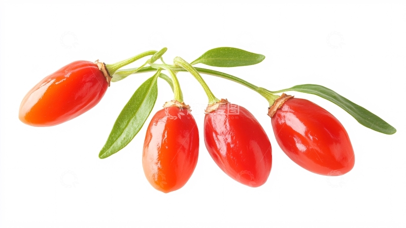 高清大图下载【趣麦麦图】枸杞素材营养保健1