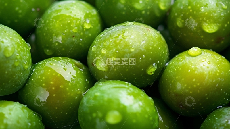 高清大图下载【趣麦麦图】-带雨水的青枣1