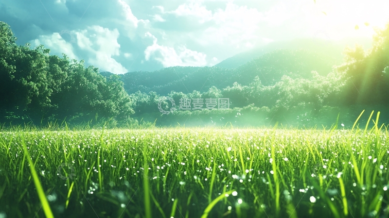 高清大图下载【趣麦麦图】阳光草地朦胧美