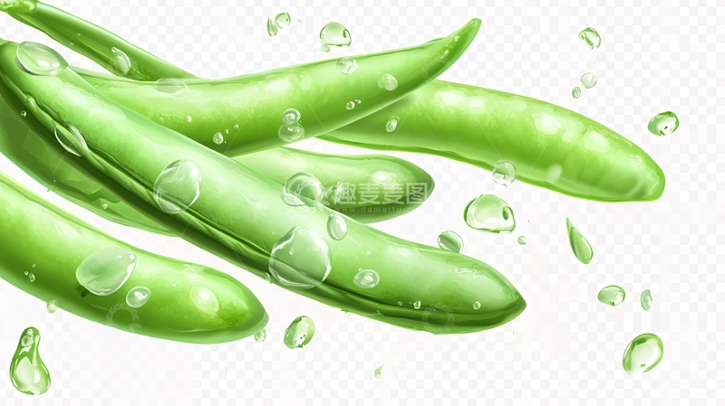 高清大图下载【趣麦麦图】豆角插画