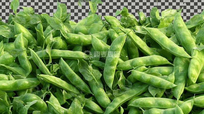 高清大图下载【趣麦麦图】荷兰豆素材