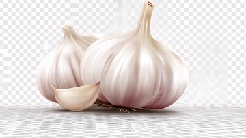 大蒜透明背景图