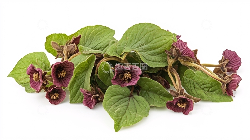 高清大图下载【趣麦麦图】苋菜图片1