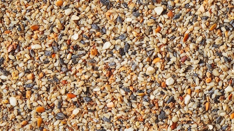 高清大图下载【趣麦麦图】石籽背景实拍