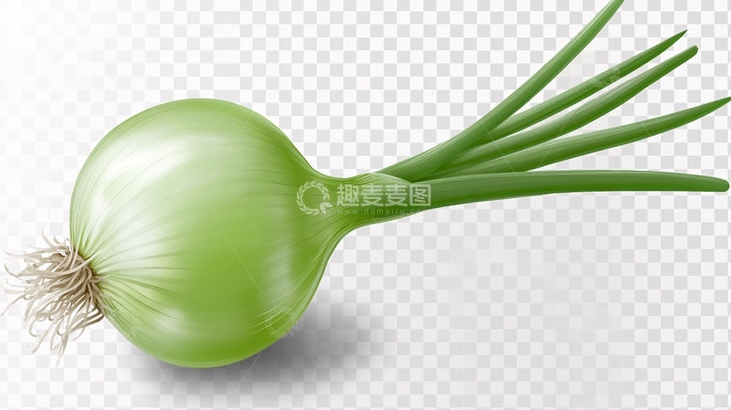 高清大图下载【趣麦麦图】青葱绿叶素材