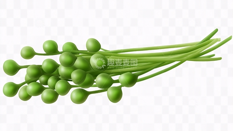 高清大图下载【趣麦麦图】油菜素材水尾