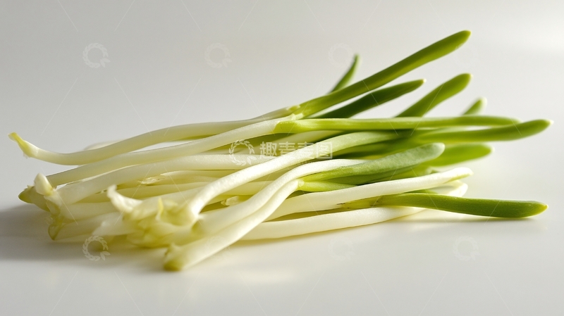 高清大图下载【趣麦麦图】绿豆芽生长特写