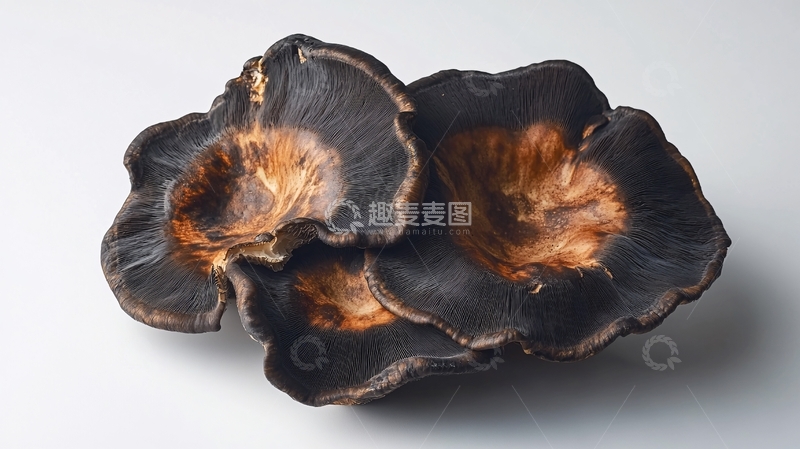 高清大图下载【趣麦麦图】金耳白底图