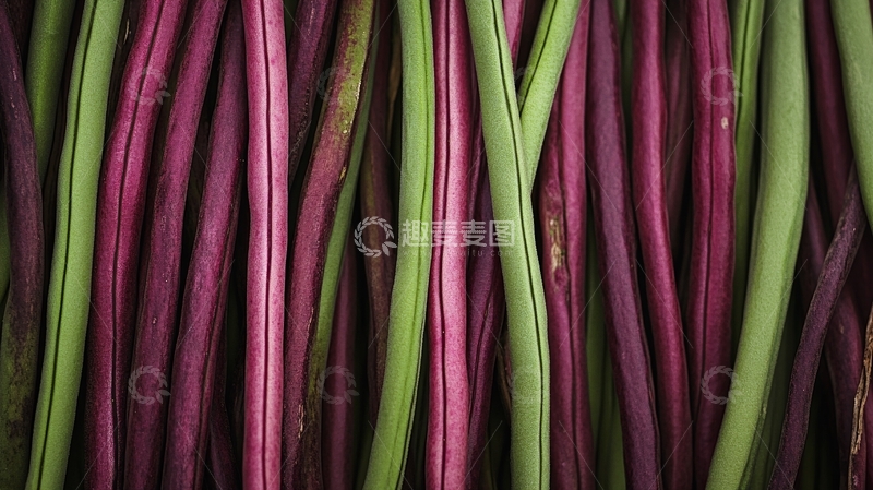 高清大图下载【趣麦麦图】紫茎背景