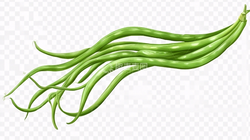 高清大图下载【趣麦麦图】豇豆插画