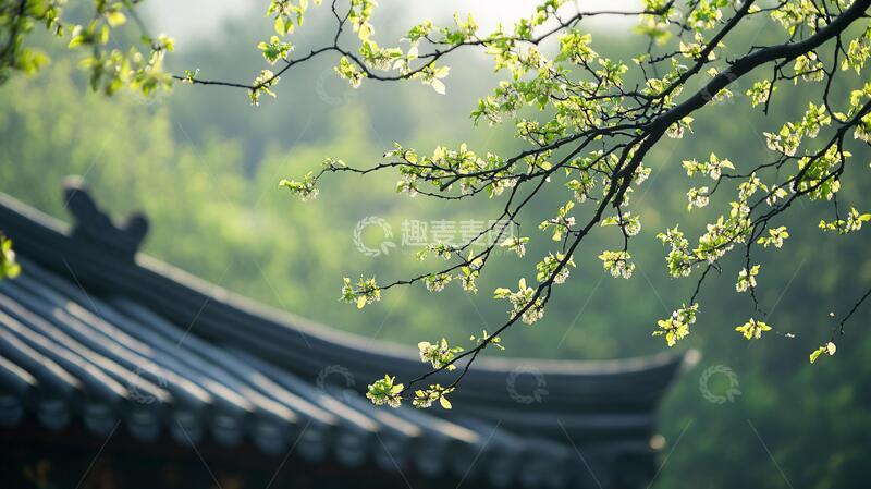 高清大图下载【趣麦麦图】古建春色春色灵谷局部
