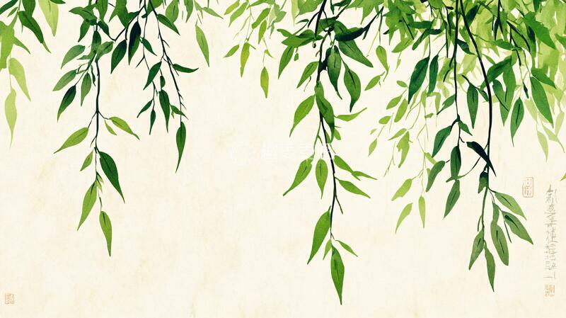 高清大图下载【趣麦麦图】柳树枝叶背景装饰画