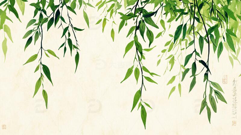 高清大图下载【趣麦麦图】柳树枝叶背景装饰画