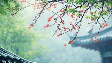 雨中红棉红棉屋檐背景