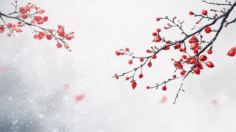 高清大图下载【趣麦麦图】禅意冬枝红果6