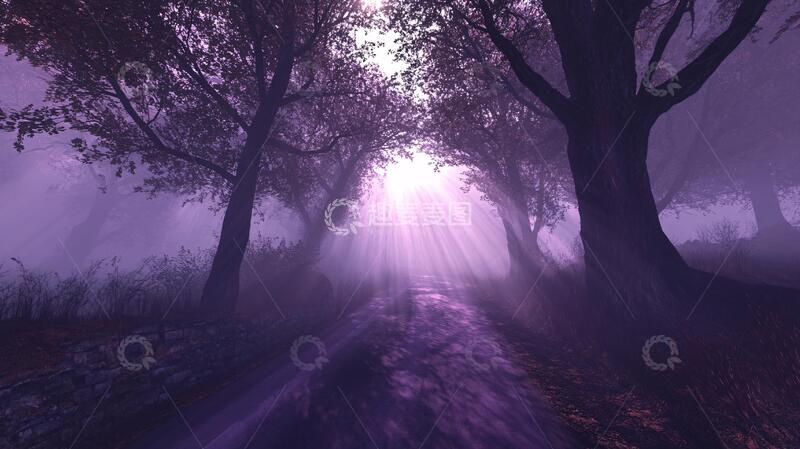 高清大图下载【趣麦麦图】梦幻枫林森林梦幻小路