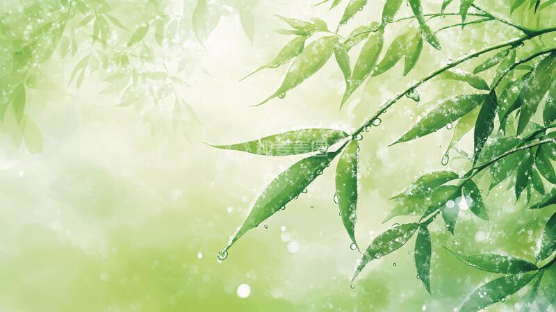 高清大图下载【趣麦麦图】唯美竹叶背景6