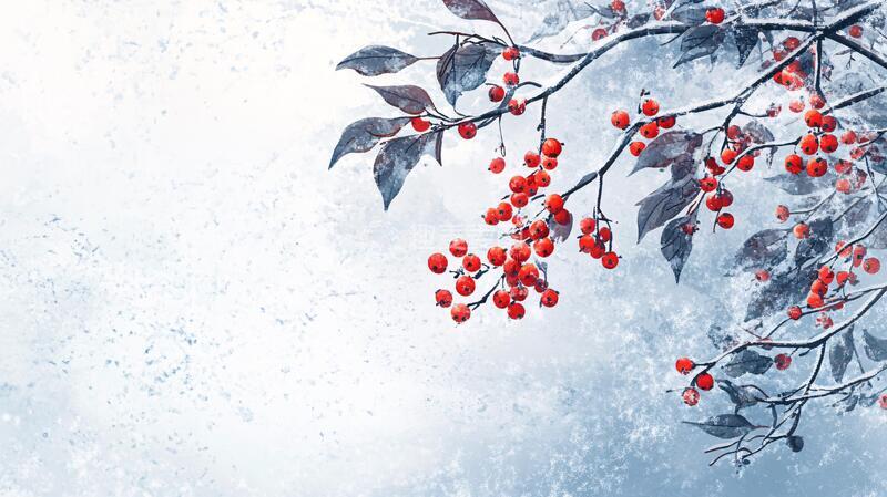 高清大图下载【趣麦麦图】禅意冬枝红果5