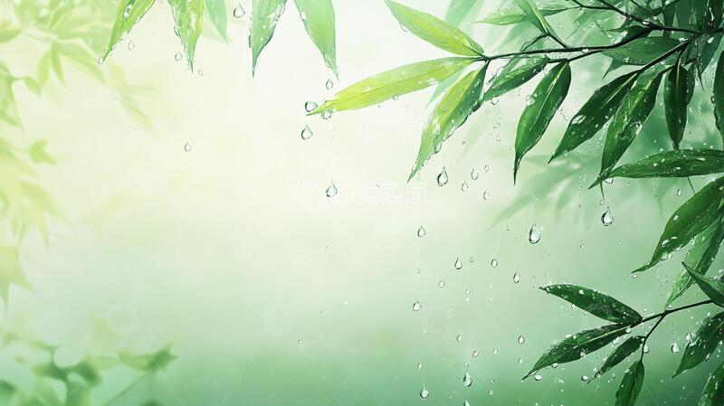 高清大图下载【趣麦麦图】唯美竹叶背景3