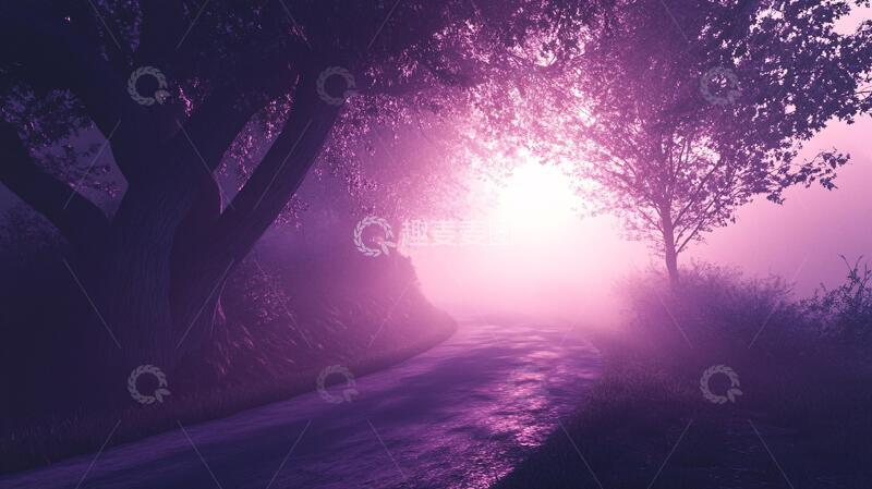 高清大图下载【趣麦麦图】迷雾秋林晨光