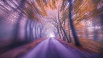 枫林隧道隧道梦幻美丽