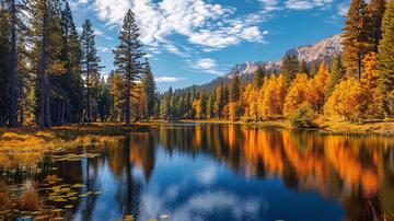 蓝天白云落叶松林湖泊