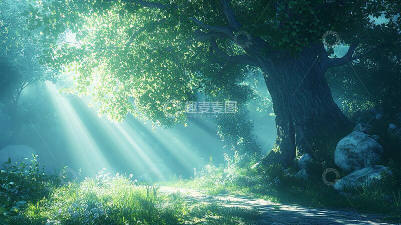 高清大图下载【趣麦麦图】阳光大树小路