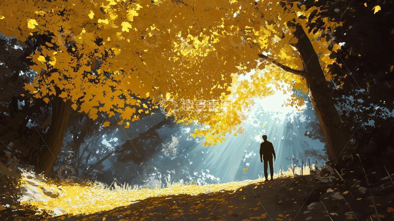 高清大图下载【趣麦麦图】金色树叶小路落叶行人5