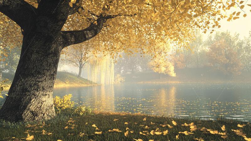 高清大图下载【趣麦麦图】唯美秋天场景13