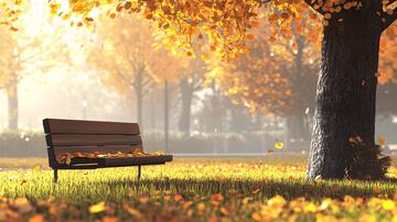 落叶与长凳落叶长凳长椅