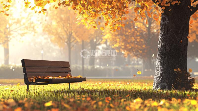 高清大图下载【趣麦麦图】落叶与长凳落叶长凳长椅