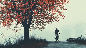 银杏树下的自行车